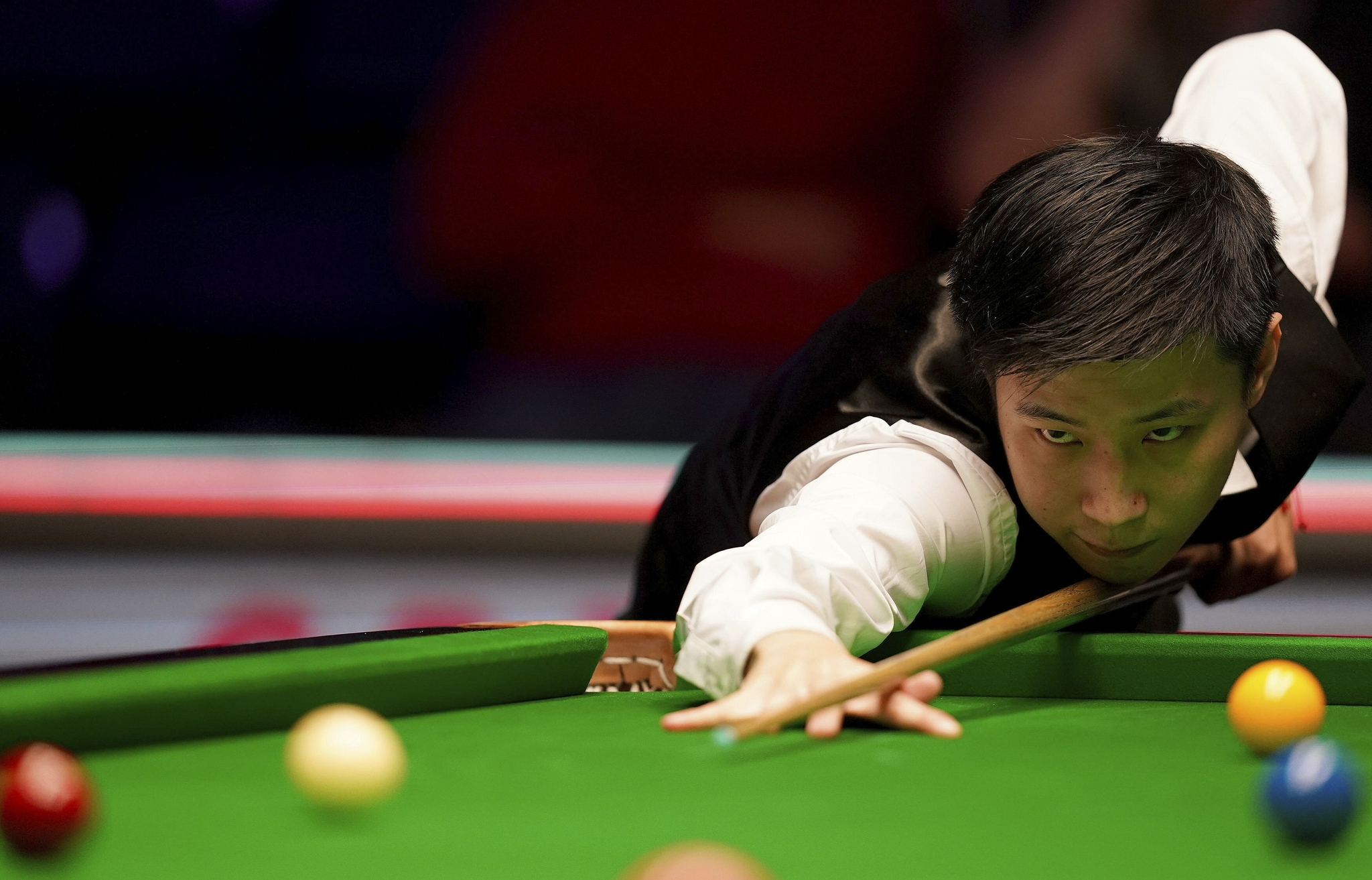 我们不仅看 我们不仅看