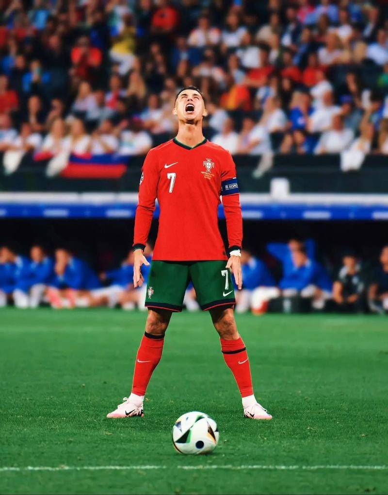 奠定了胜利 奠定了胜利